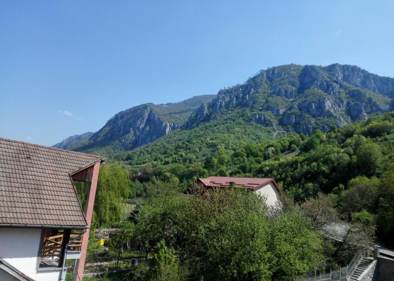 Vila Ana Băile Herculane Buitenkant foto