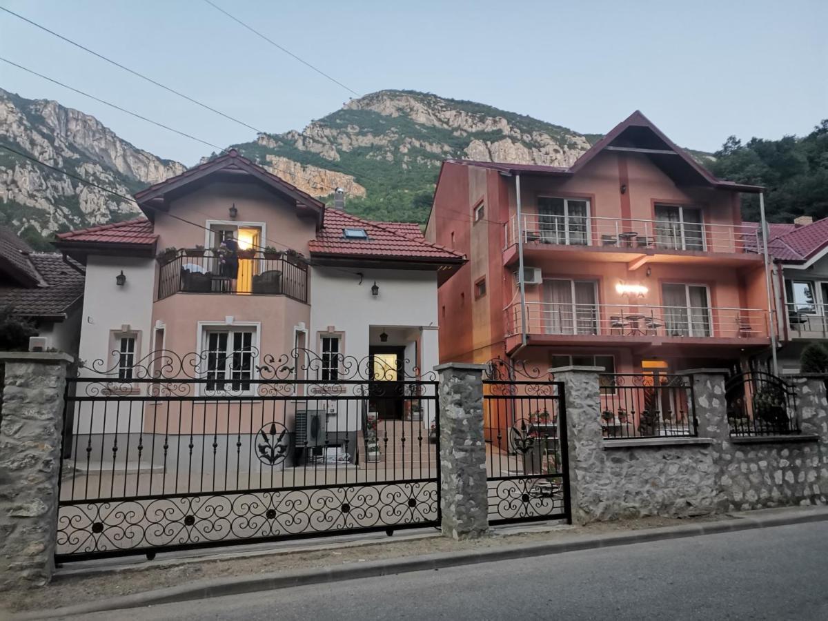 Vila Ana Băile Herculane Buitenkant foto