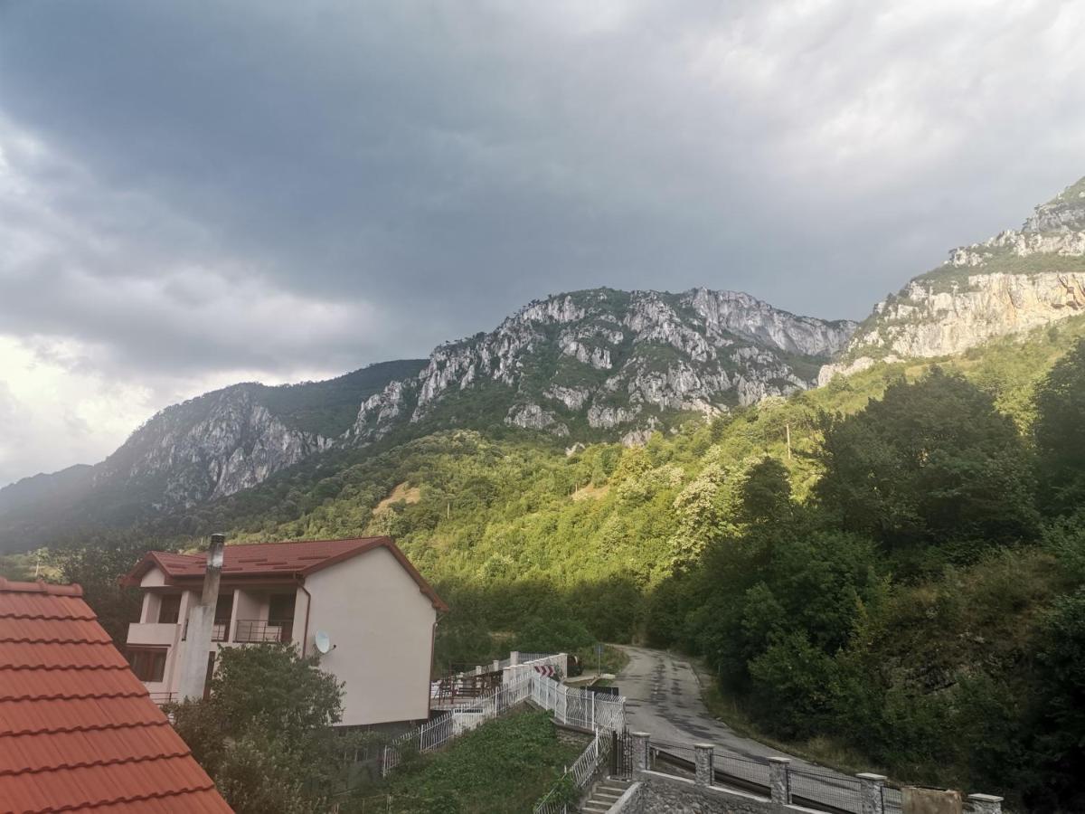 Vila Ana Băile Herculane Buitenkant foto