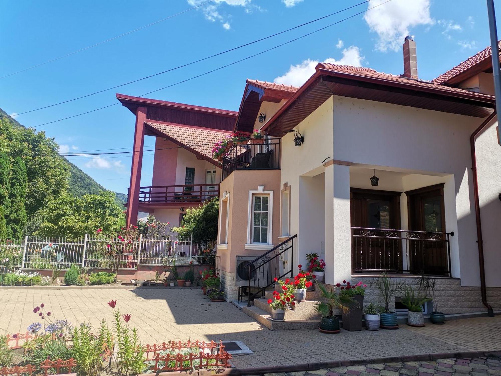 Vila Ana Băile Herculane Buitenkant foto